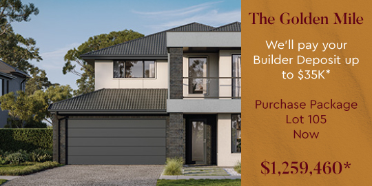 Lot-105-Simonds-Lomandra43