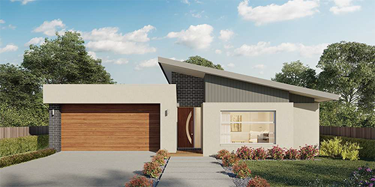 Lot 120 - Hotondo