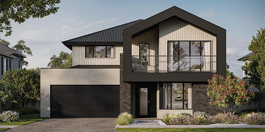 Lot 103 - Lomandra 43